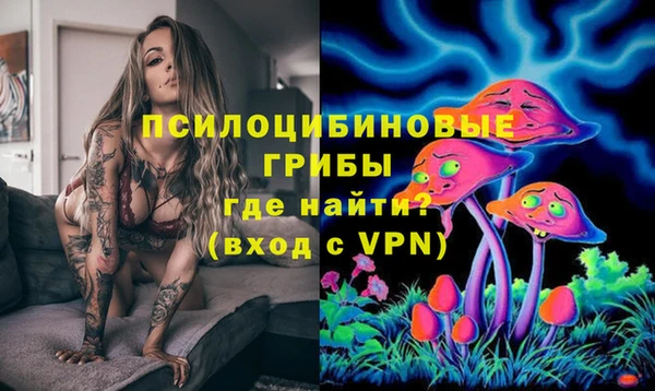 ECSTASY Бугульма
