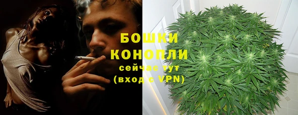 марки lsd Бородино