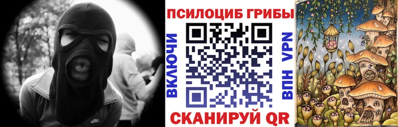 Псилоцибиновые грибы MAGIC MUSHROOMS  Купить закладки  Сысерть 